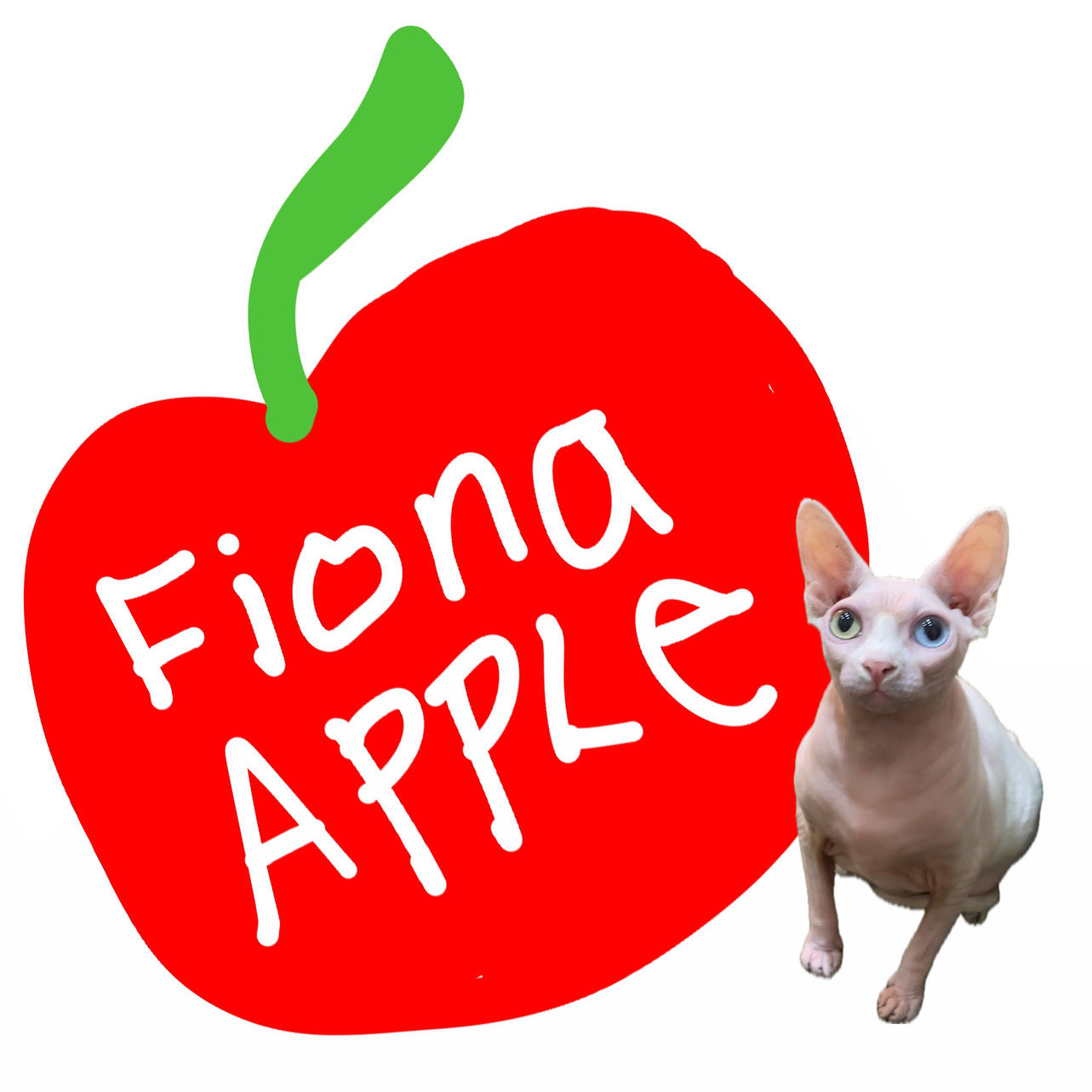 Fiona Apple Cat